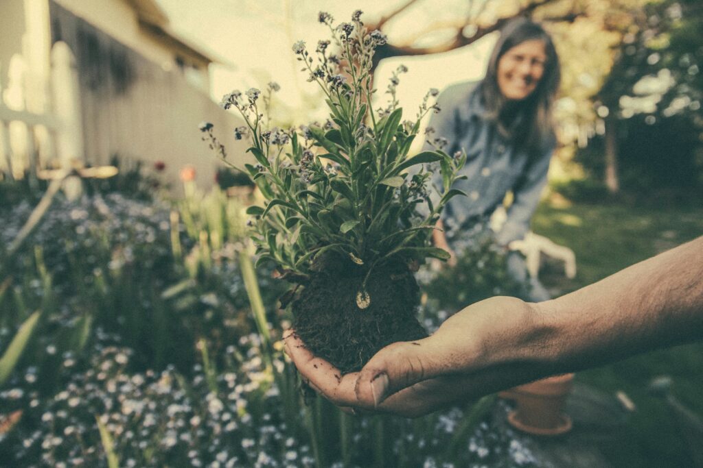 Intensivschulung Gartenbund.de – Effiziente Vereinsarbeit mit digitalen Tools