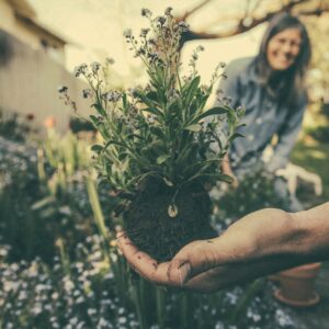 Intensivschulung Gartenbund.de – Effiziente Vereinsarbeit mit digitalen Tools