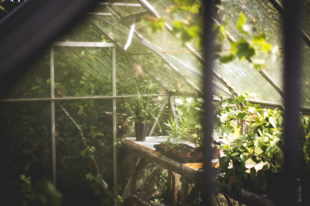 Jahreslizenz für fachlichen Support von Kleingartenvereinen mit Gartenbund.de