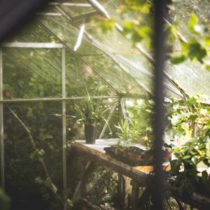 Jahreslizenz für fachlichen Support von Kleingartenvereinen mit Gartenbund.de